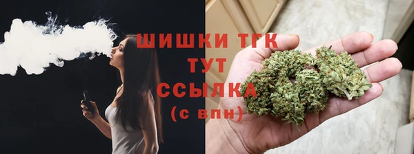 гашик Бронницы